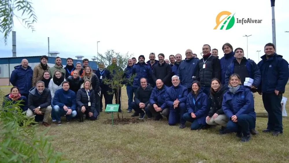 Diseño sin título (19)